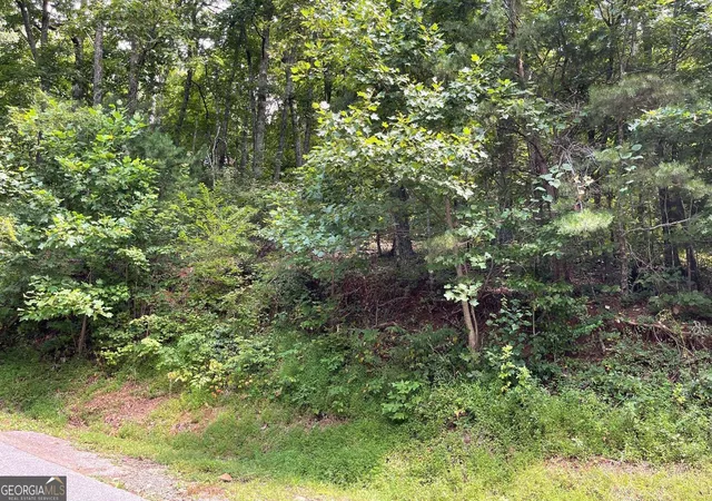 Photo 1 of Land for sale at #10 Mountain Dr N, Hiawassee, GA 30546 | MLS# 10848989 | Listing updated on 2026-10-02