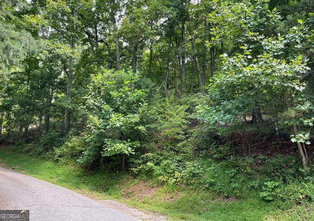 Photo 2 of Land for sale at #10 Mountain Dr N, Hiawassee, GA 30546 | MLS# 10848989 | Listing updated on 2026-10-02