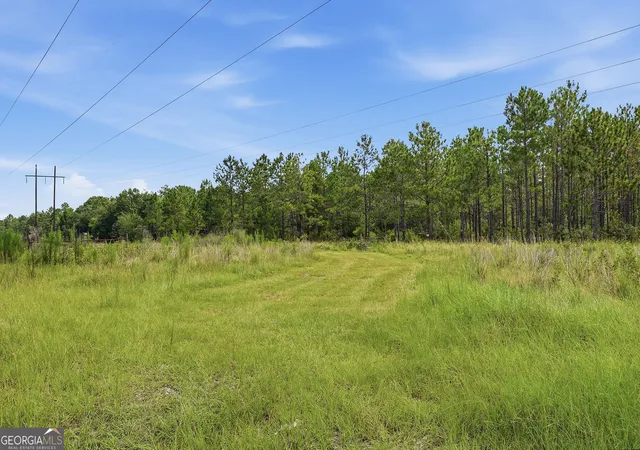 Photo 4 of Land for sale at 650 Benjamin H Hl Dr, Fitzgerald, GA 31750 | MLS# 10546851 | Listing updated on 2026-09-09