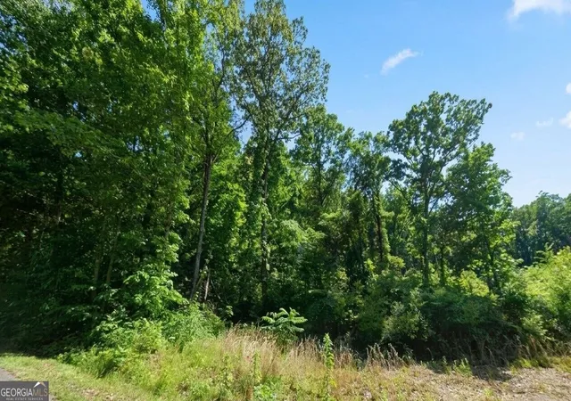 Photo 1 of Land for sale at 77 Autumnwood Trl, Decatur, AL 35603 | MLS# 10852497 | Listing updated on 2026-10-08