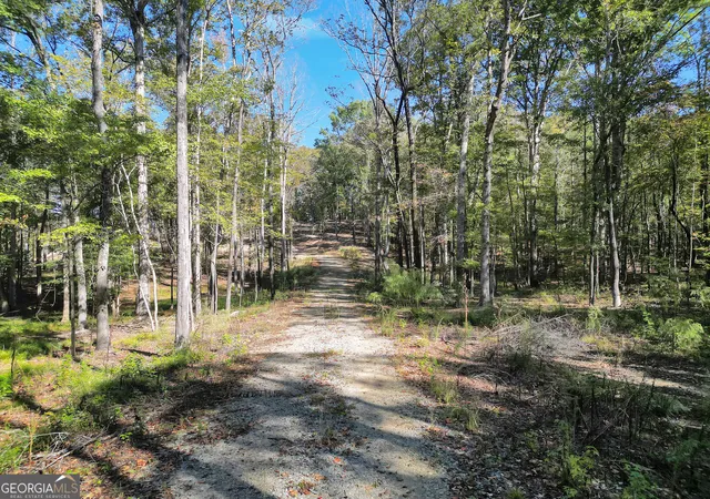 Photo 2 of Land for sale at 2180 Dunn Rd Rd, Molena, GA 30258 | MLS# 10804819 | Listing updated on 2026-10-29