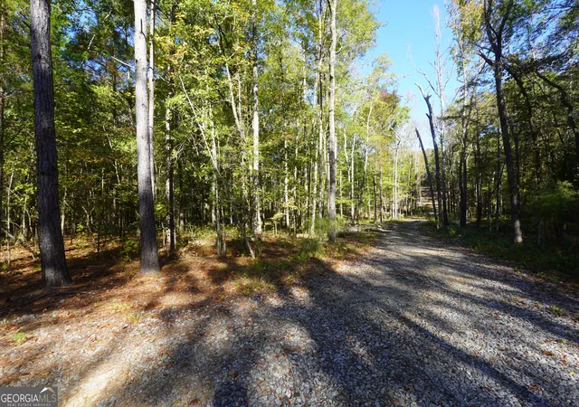 Photo 4 of Land for sale at 2180 Dunn Rd Rd, Molena, GA 30258 | MLS# 10804819 | Listing updated on 2026-10-29