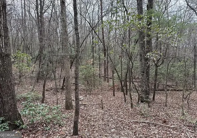 Photo 2 of Land for sale at 0 Roy Rd, Ellijay, GA 30536 | MLS# 10879615 | Listing updated on 2026-10-30