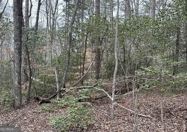 Photo 3 of Land for sale at 0 Roy Rd, Ellijay, GA 30536 | MLS# 10879615 | Listing updated on 2026-10-30