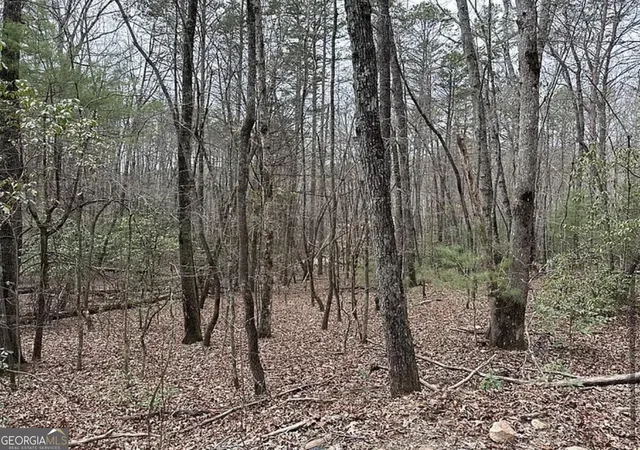 Photo 4 of Land for sale at 0 Roy Rd, Ellijay, GA 30536 | MLS# 10879615 | Listing updated on 2026-10-30