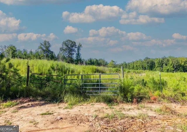 Photo 1 of Land for sale at Tract 8 Carlisle Gap Rd, Woodland, GA 31836 | MLS# 10837473 | Listing updated on 2026-09-30