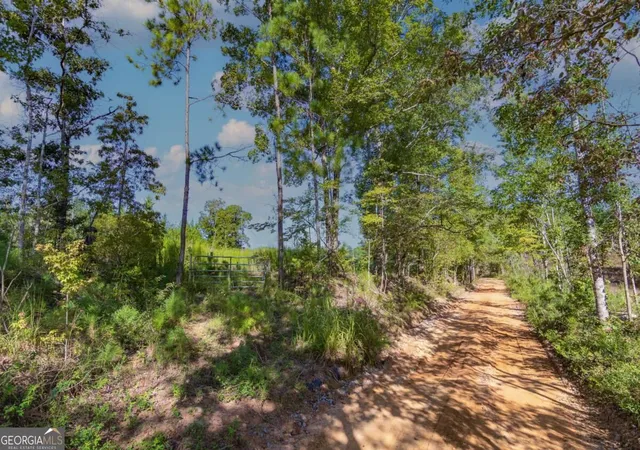 Photo 2 of Land for sale at Tract 8 Carlisle Gap Rd, Woodland, GA 31836 | MLS# 10837473 | Listing updated on 2026-09-30