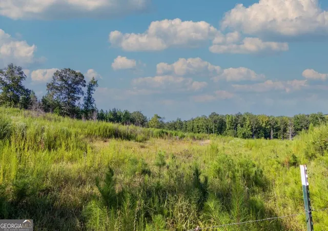 Photo 3 of Land for sale at Tract 8 Carlisle Gap Rd, Woodland, GA 31836 | MLS# 10837473 | Listing updated on 2026-09-30