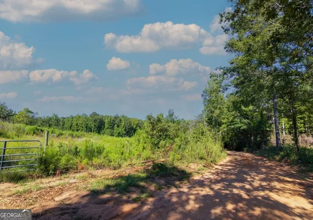 Photo 3 of Land for sale at Tract 8 Carlisle Gap Rd, Woodland, GA 31836 | MLS# 10837473 | Listing updated on 2026-09-30