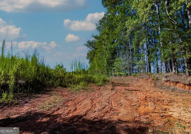 Photo 4 of Land for sale at Tract 8 Carlisle Gap Rd, Woodland, GA 31836 | MLS# 10837473 | Listing updated on 2026-09-30