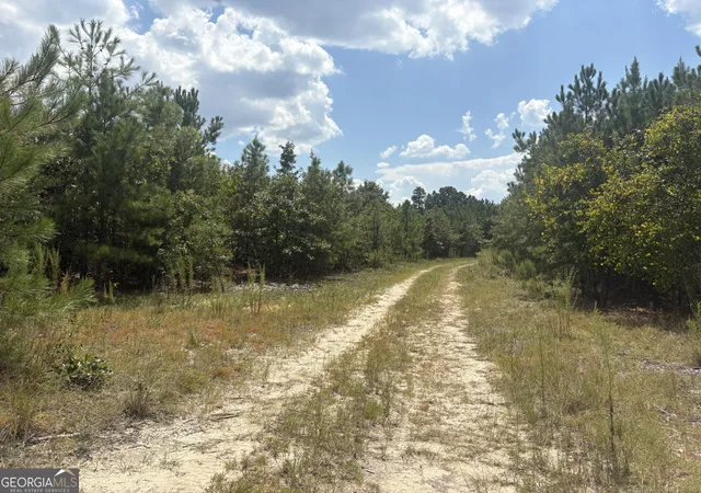 Photo 2 of Sale Pending at L11 N Indian Trail Rd, Sandersville, GA 31082 | MLS# 10832030 | Listing updated on 2026-10-09