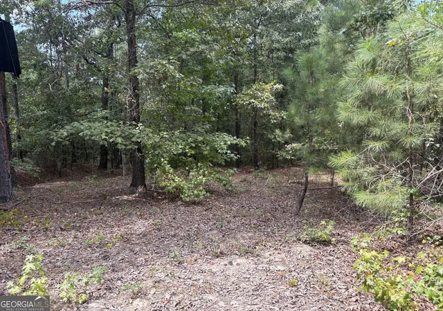Photo 3 of Sale Pending at L11 N Indian Trail Rd, Sandersville, GA 31082 | MLS# 10832030 | Listing updated on 2026-10-09
