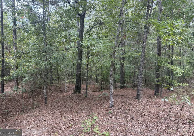 Photo 4 of Sale Pending at L11 N Indian Trail Rd, Sandersville, GA 31082 | MLS# 10832030 | Listing updated on 2026-10-09