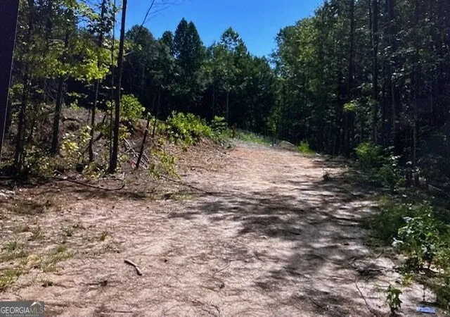 Land for sale at 315 Delta Ln, Rockmart, GA 30153 | MLS# 10846292