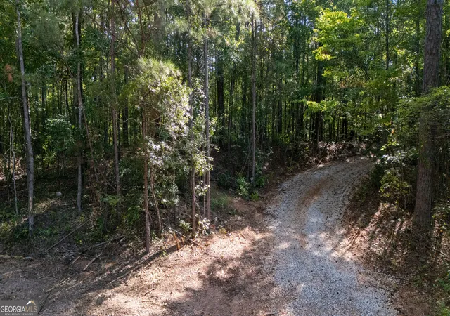 Land for sale at 1221 US Hwy 27, Franklin, GA 30217 | MLS# 10848621