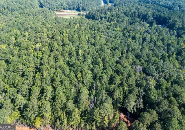 Photo 2 of Land for sale at 1221 Us Hwy 27, Franklin, GA 30217 | MLS# 10848621 | Listing updated on 2026-10-13