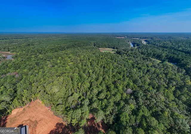Photo 3 of Land for sale at 1221 Us Hwy 27, Franklin, GA 30217 | MLS# 10848621 | Listing updated on 2026-10-13