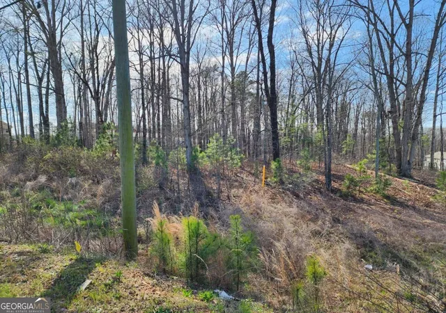 Photo 7 of Land for sale at 0 Highway 92, Douglasville, GA 30134 | MLS# 10837001 | Listing updated on 2026-09-15