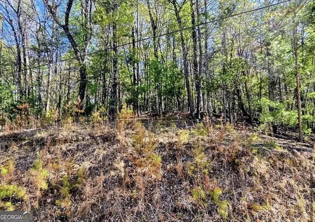Photo 2 of Land for sale at 0 Goldmine Dr, Ellijay, GA 30536 | MLS# 10879619 | Listing updated on 2026-10-30