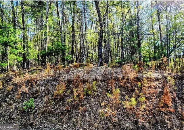 Photo 3 of Land for sale at 0 Goldmine Dr, Ellijay, GA 30536 | MLS# 10879619 | Listing updated on 2026-10-30