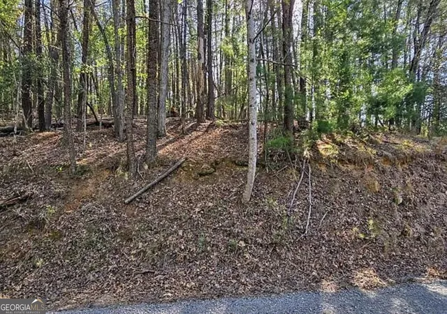 Photo 4 of Land for sale at 0 Goldmine Dr, Ellijay, GA 30536 | MLS# 10879619 | Listing updated on 2026-10-30