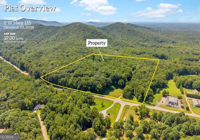 Photo 3 of Land for sale at 0 Highway 115, Cleveland, GA 30528 | MLS# 10839678 | Listing updated on 2026-09-17