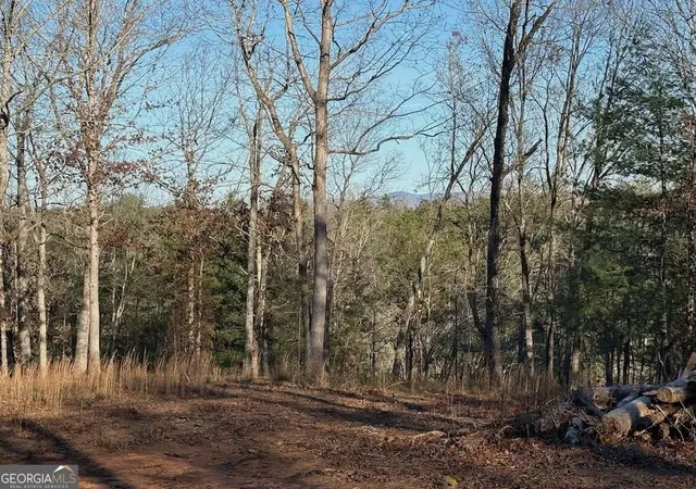 Photo 3 of Land for sale at 780 Banks Rd, Ellijay, GA 30540 | MLS# 10879303 | Listing updated on 2026-10-29
