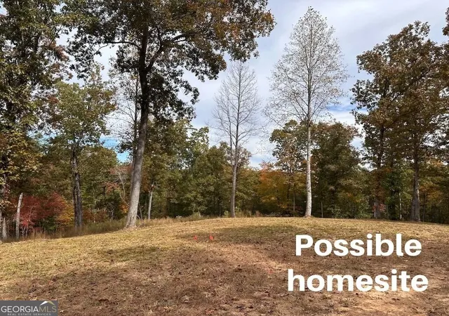 Photo 4 of Land for sale at 780 Banks Rd, Ellijay, GA 30540 | MLS# 10879303 | Listing updated on 2026-10-29
