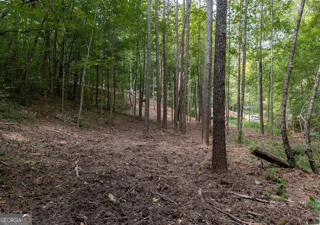 Photo 19 of Land for sale at 3280 Old Burnt Mountain Rd #TRACT 3, Jasper, GA 30143 | MLS# 10841476 | Listing updated on 2026-09-08