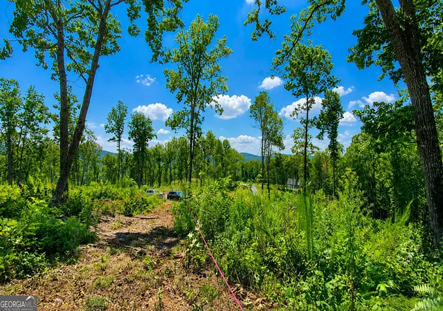 Photo 1 of Land for sale at 1084 Highgrove Dr #276, Talking Rock, GA 30175 | MLS# 10822920 | Listing updated on 2026-09-01