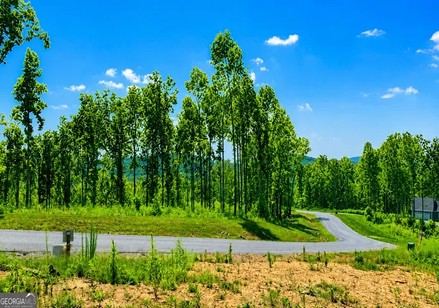 Photo 3 of Land for sale at 1084 Highgrove Dr #276, Talking Rock, GA 30175 | MLS# 10822920 | Listing updated on 2026-09-01