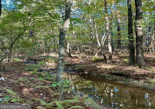 Photo 3 of Land for sale at #17 Lone Bear Path, Dallas, GA 30132 | MLS# 10852490 | Listing updated on 2026-09-27