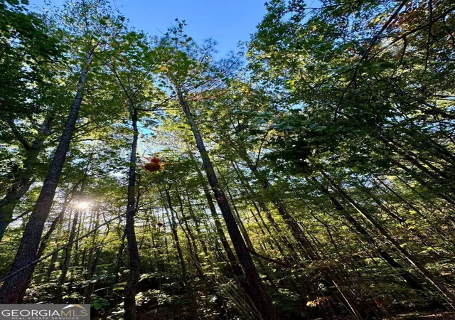 Photo 3 of Land for sale at #17 Lone Bear Path, Dallas, GA 30132 | MLS# 10852490 | Listing updated on 2026-09-27