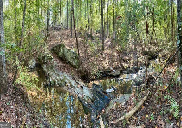 Photo 4 of Land for sale at #17 Lone Bear Path, Dallas, GA 30132 | MLS# 10852490 | Listing updated on 2026-09-27