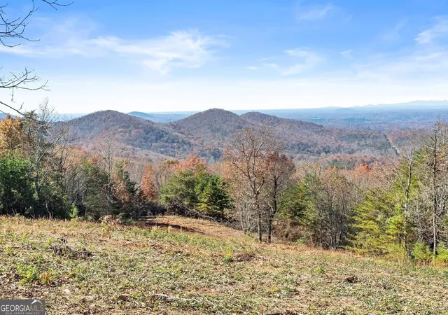Land for sale at 0 Helton Rd, Cleveland, GA 30528 | MLS# 10851520