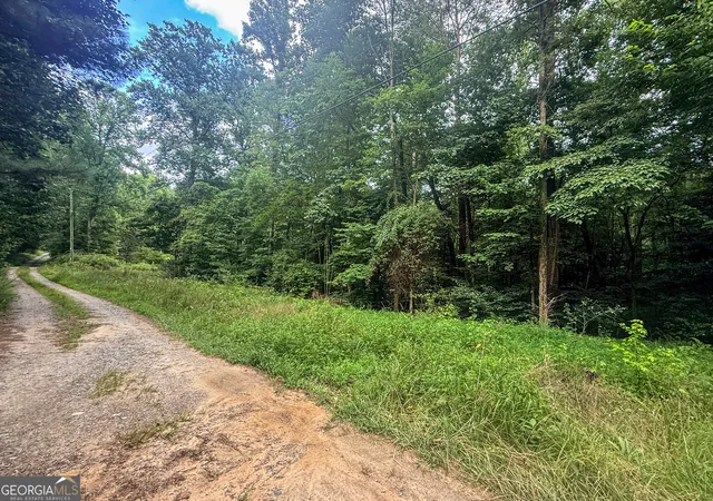 Land for sale at 0 Jesses Run, Blue Ridge, GA 30513 | MLS# 10841222