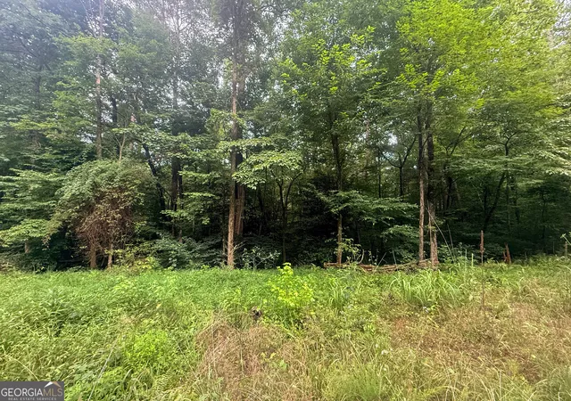 Photo 2 of Land for sale at 0 Jesses Run, Blue Ridge, GA 30513 | MLS# 10841222 | Listing updated on 2026-09-20