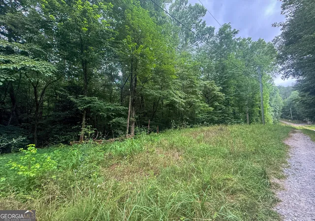 Photo 3 of Land for sale at 0 Jesses Run, Blue Ridge, GA 30513 | MLS# 10841222 | Listing updated on 2026-09-20