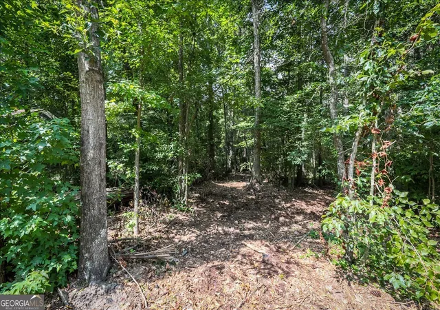 Photo 2 of Land for sale at 3132 Macedonia Rd, Powder Springs, GA 30127 | MLS# 10831509 | Listing updated on 2026-09-06