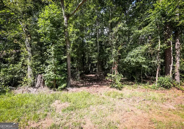 Photo 3 of Land for sale at 3132 Macedonia Rd, Powder Springs, GA 30127 | MLS# 10831509 | Listing updated on 2026-09-06