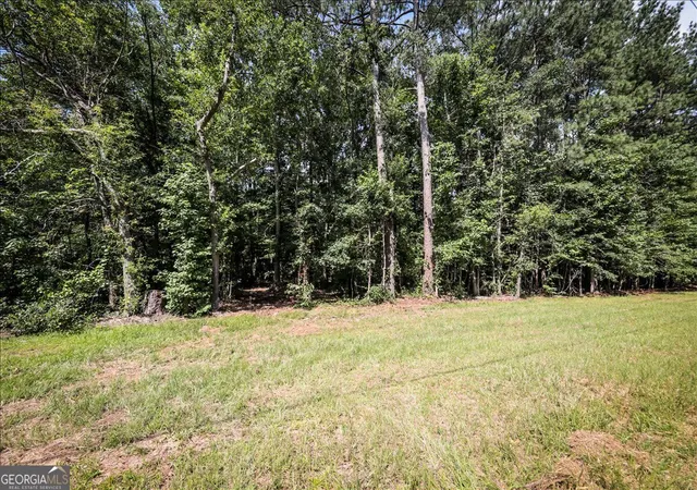 Photo 3 of Land for sale at 3132 Macedonia Rd, Powder Springs, GA 30127 | MLS# 10831509 | Listing updated on 2026-09-06