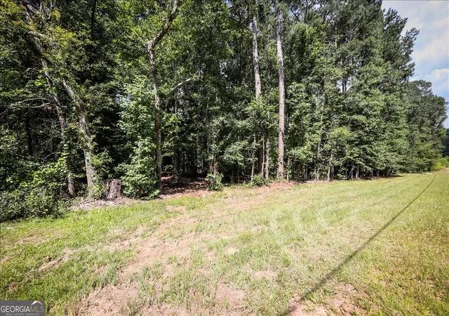 Photo 4 of Land for sale at 3132 Macedonia Rd, Powder Springs, GA 30127 | MLS# 10831509 | Listing updated on 2026-09-06