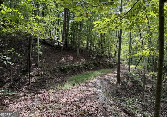 Photo 1 of Land for sale at 0 Fuller Mountain Rd, Fairmount, GA 30139 | MLS# 10842711 | Listing updated on 2026-09-23