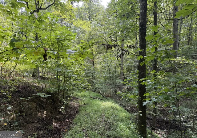Photo 2 of Land for sale at 0 Fuller Mountain Rd, Fairmount, GA 30139 | MLS# 10842711 | Listing updated on 2026-09-23