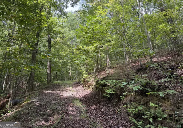 Photo 3 of Land for sale at 0 Fuller Mountain Rd, Fairmount, GA 30139 | MLS# 10842711 | Listing updated on 2026-09-23