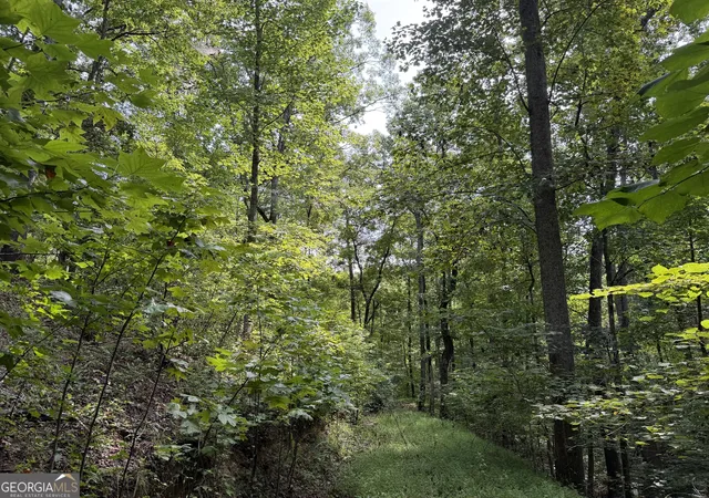 Photo 3 of Land for sale at 0 Fuller Mountain Rd, Fairmount, GA 30139 | MLS# 10842711 | Listing updated on 2026-09-23