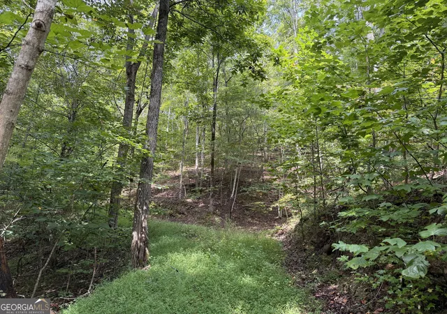 Photo 4 of Land for sale at 0 Fuller Mountain Rd, Fairmount, GA 30139 | MLS# 10842711 | Listing updated on 2026-09-23