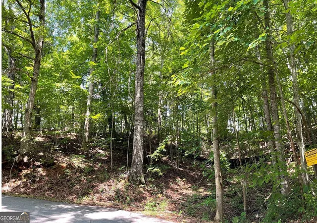 Photo 1 of Land for sale at #7 Mountain Dr N, Hiawassee, GA 30546 | MLS# 10848849 | Listing updated on 2026-10-02