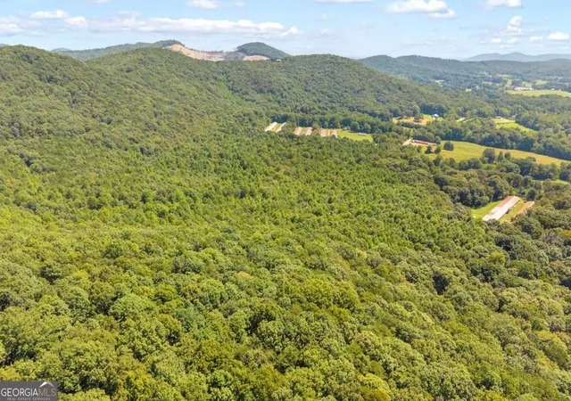 Photo 3 of Land for sale at 0 Highway 115, Cleveland, GA 30528 | MLS# 10839687 | Listing updated on 2026-09-17
