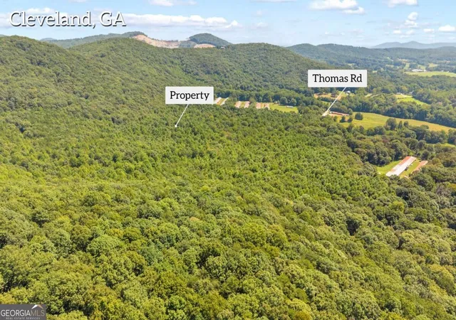 Photo 4 of Land for sale at 0 Highway 115, Cleveland, GA 30528 | MLS# 10839687 | Listing updated on 2026-09-17